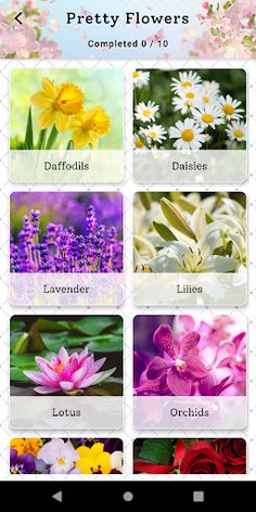 Puzzle Pic - Screenshot 3