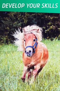 Pony and Horse Jigsaw Puzzles - Screenshot 3