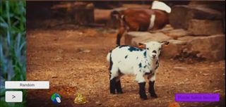 Puzzle de Animales bebes Crías - Screenshot 2