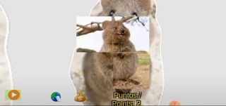 Quokka Quokkas Jigsaw Jigsaw P - Screenshot 3