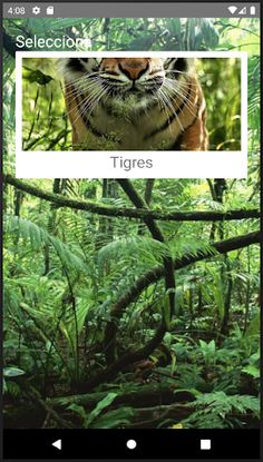 Rompecabezas de Tigres - Screenshot 1