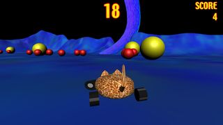 Cat Car - Screenshot 1