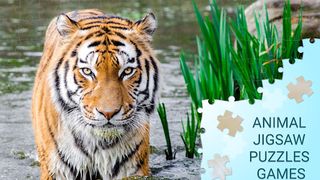 Animal jigsaw puzzles games - Screenshot 2