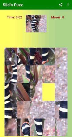 Slidin Puzz Combo - Screenshot 2