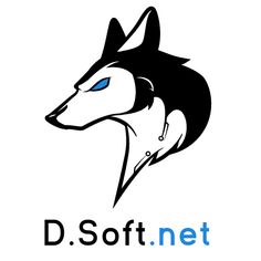 dsoft - Screenshot 2