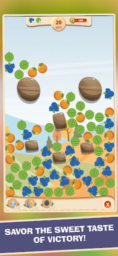 Farm Fruit Puzzle - Screenshot 4