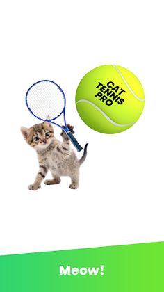 Cat Tennis Pro - Screenshot 1