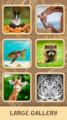 Puzzle Offline Game - Screenshot 3