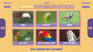 Qual é o Pássaro? (Adivinhe to - Screenshot 3