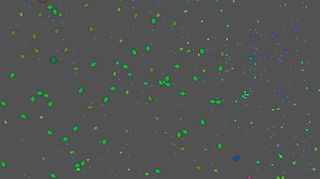 Neuronka - Screenshot 2