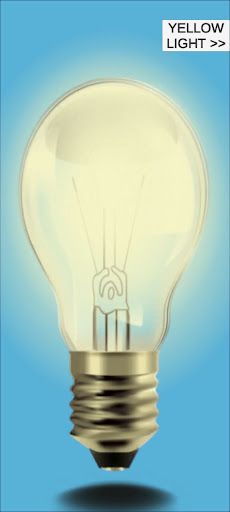 Virtual Bulb - Screenshot 1