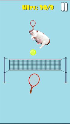 Cat Tennis: Meow Sports Battle - Screenshot 4