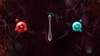 War of Reproduction 2 (Space) - Screenshot 2