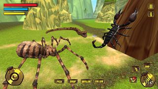 Wild Spider Tarantula Insect - Screenshot 1