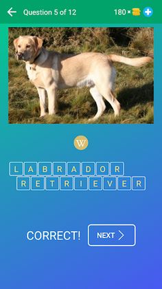 Dog Quiz: Guess the Breed — Ga - Screenshot 2