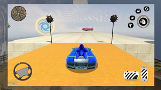 Blue Hedgehog Run Drive Race - Screenshot 2