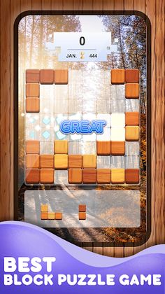 Wood Block Puzzle Game - Screenshot 2