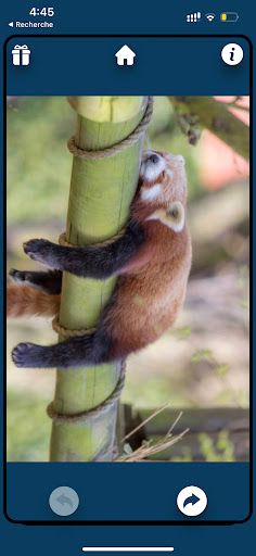 Sans Pitié - Screenshot 2