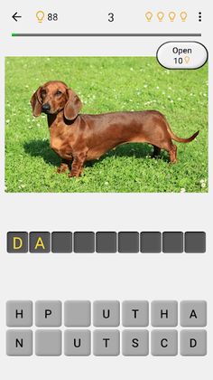 Dogs Quiz - Guess All Breeds! - Screenshot 2