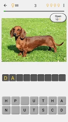 Dogs Quiz - Guess All Breeds! - Screenshot 2