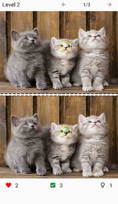 Find Differences - Differences - Screenshot 3