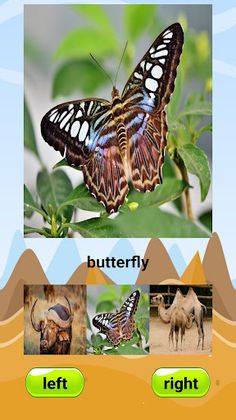 Animal Games for Kids! - Screenshot 3