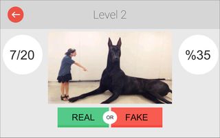 Real or Fake: Photoshopped Pic - Screenshot 2
