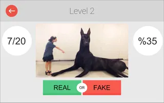 Real or Fake: Photoshopped Pic - Screenshot 2