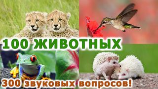 Животные для детей и малышей! - Screenshot 1