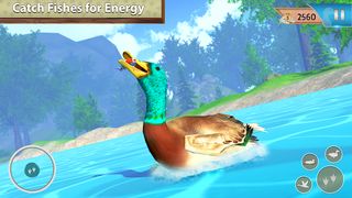 Virtual Duck Pet Bird games - Screenshot 1