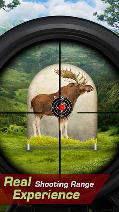 Moose Target Shooting - Screenshot 1