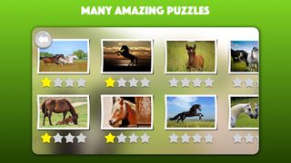 Horse and Pony jigsaw puzzles - Screenshot 2
