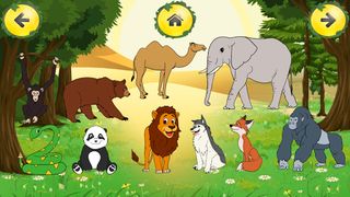 Animal Sounds Listen & Find - Screenshot 2