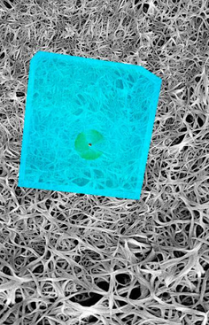 Atomic Scanner - Screenshot 2