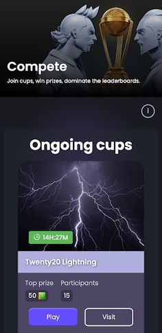 Cricket Star Manager - Screenshot 3