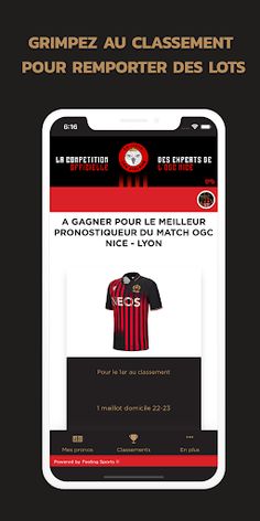 Ligue des Aiglons - Screenshot 2