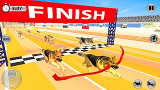Greyhound 3D Dog Racing Fever - Screenshot 3