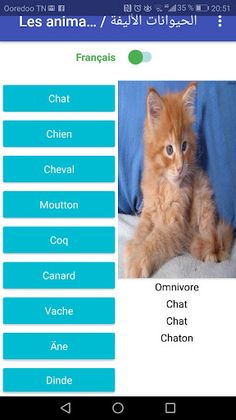 Les animaux domestiques - Screenshot 2