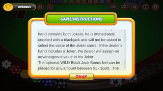 Blackjack Gone Wild - Screenshot 1