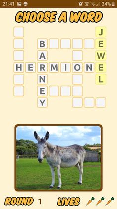 Flicka Donkeys - Screenshot 2