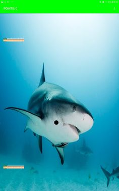 Pong ping - Screenshot 4