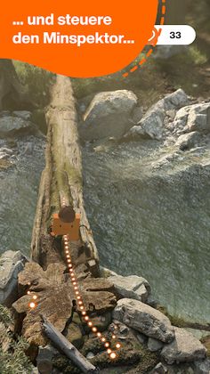 Nature Detectives Mania - Screenshot 3