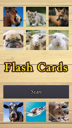 Flash Cards - Screenshot 3