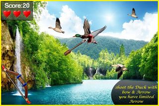 Bird Hunting - Screenshot 3