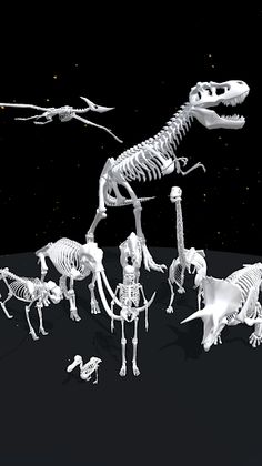 Assemble Skeleton - Screenshot 2