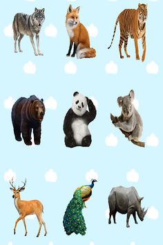 Animal sounds for kids - Screenshot 1