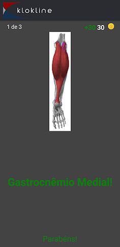 159 Human Muscles Challenge - Screenshot 3