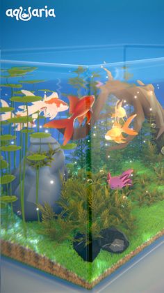 AQUALIA - Screenshot 2