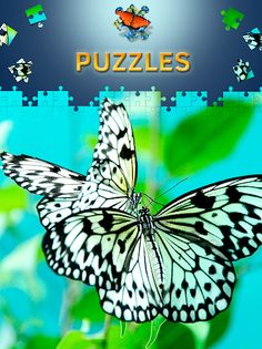 Butterfly Jigsaw Puzzles free - Screenshot 3