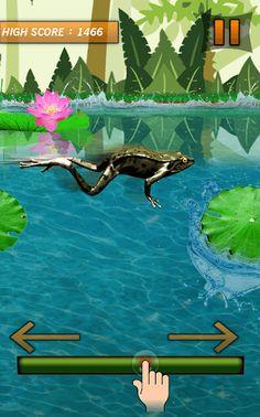 Frog Jumping Mania - Screenshot 2